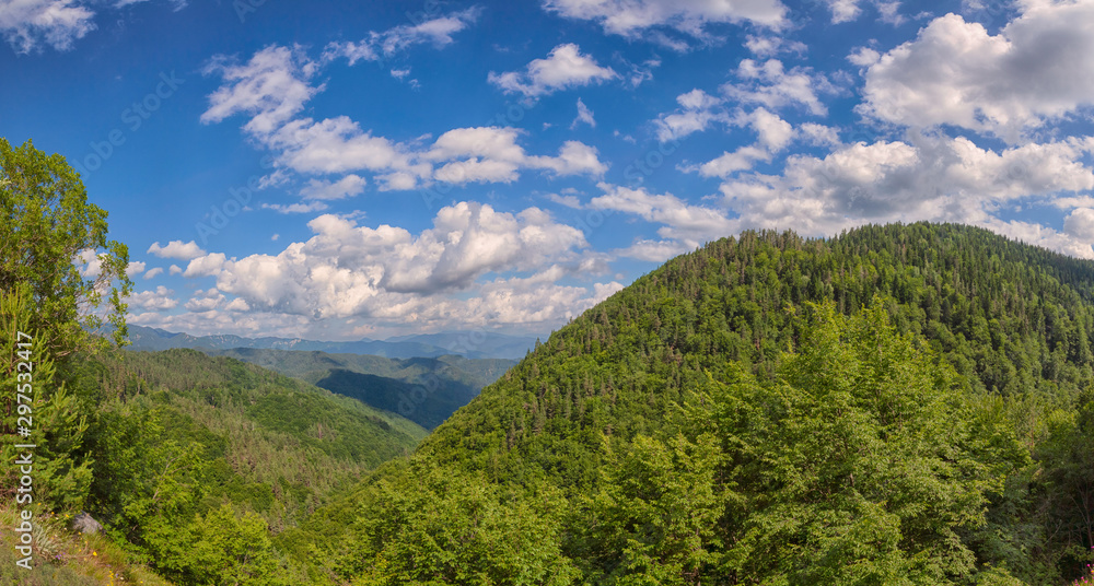 Panoramic view to the Rhodope mountain forest - Greece