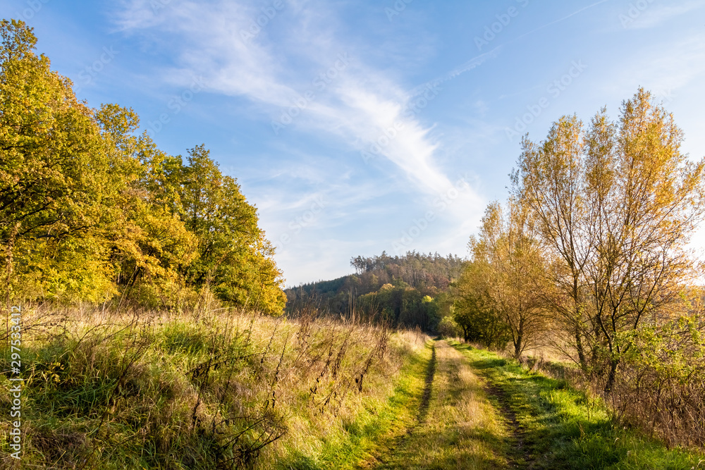 Road through autumnal countryside with colorful trees Road through autumnal countryside with colorful trees