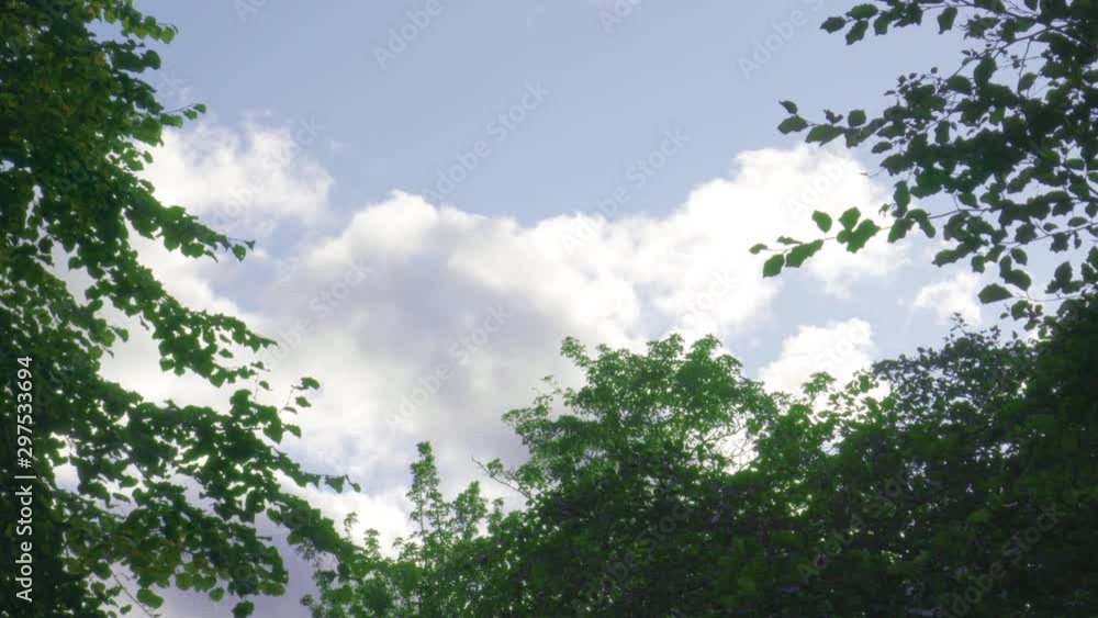 White Clouds Passing over Green Trees with Beautiful Blue Sky. White Clouds Passing over Green Trees with Beautiful Blue Sky.