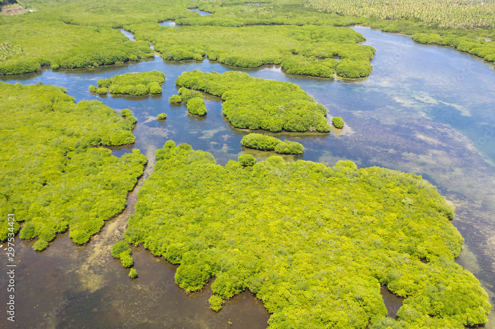Mangroves, top view. Mangrove forest and winding rivers. Tropical background Mangroves, top view. Mangrove forest and winding rivers. Tropical background