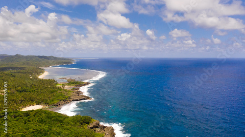 The rocky coast of a tropical island. Siargao, Philippines. Seascape with palm trees in sunny weather, aerial view.