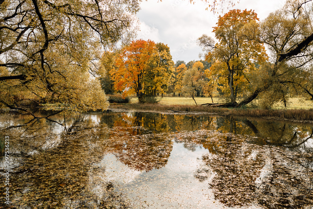view of beautiful lake in the autumn evening view of beautiful lake in the autumn evening