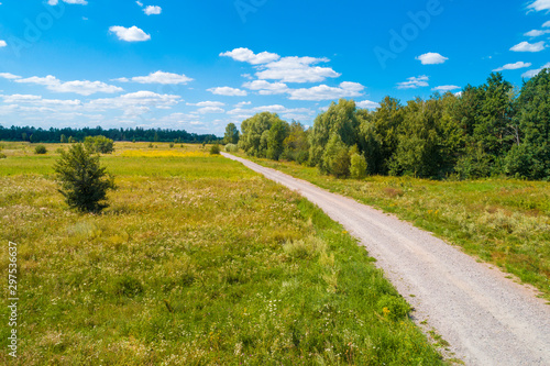 Country road on a summer sunny day. Nature landscape