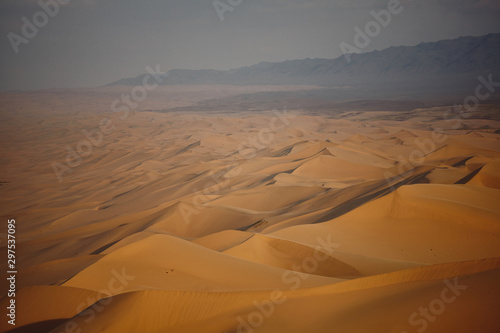 Sands Hongoryn Els in the Gobi Desert  Mongolia