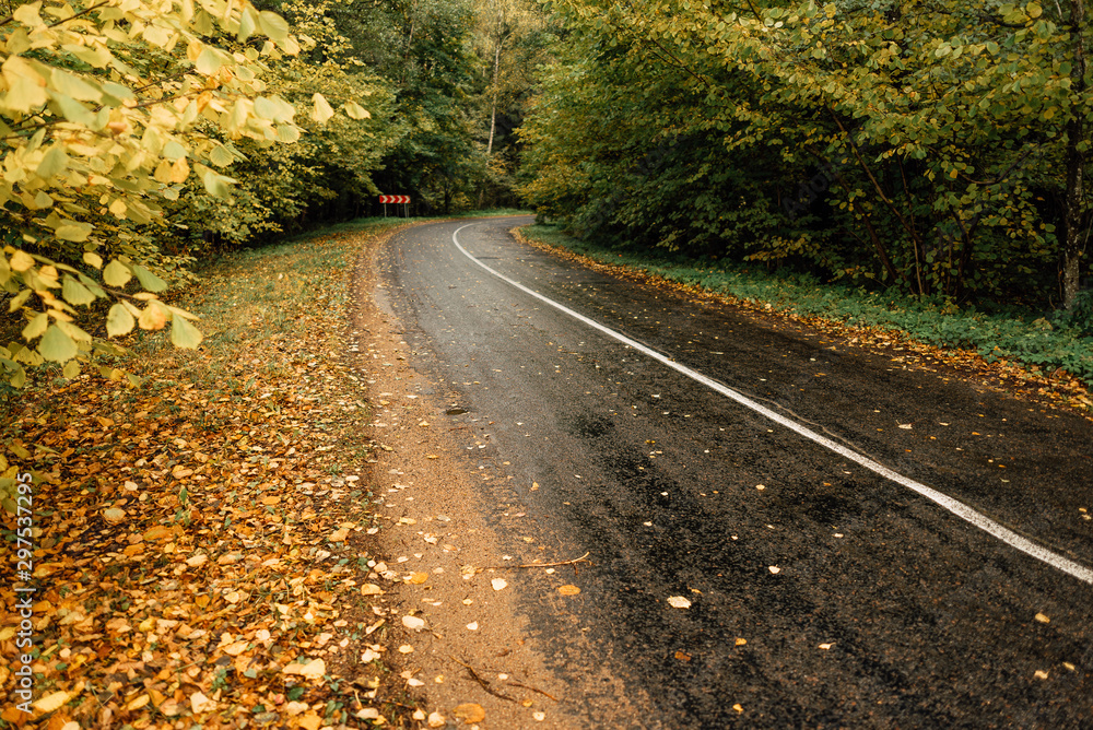 beautiful country road, rural road in autumn afternoon beautiful country road, rural road in autumn afternoon