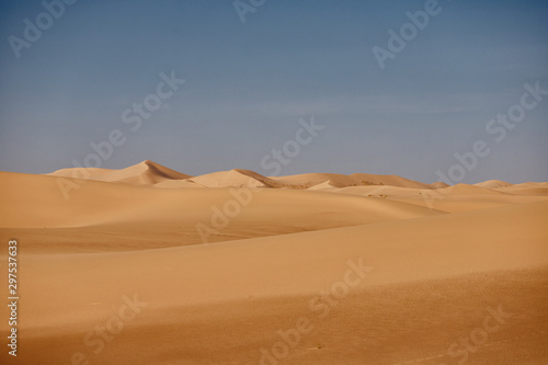 Sands Hongoryn Els in the Gobi Desert  Mongolia