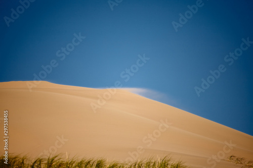 Sands Hongoryn Els in the Gobi Desert  Mongolia