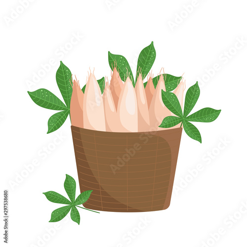 Vector basket with cassava roots and leaves on white background