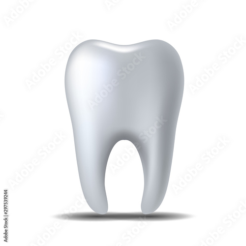 Realistic white Tooth isolated on white background