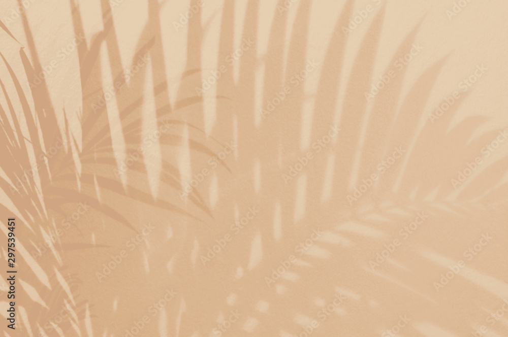 Fototapeta Światło i cień zieleni liście, palmowy liść na piaska koloru grunge ściany betonują tło Sylwetki mieszkania nieatutowego abstrakcjonistycznego tropikalnego liścia lata naturalna deseniowa tekstura z kopii przestrzenią Miękki wizerunku tło.