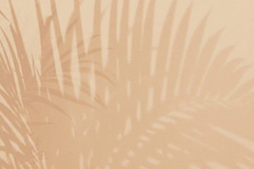 Light and shadow green leaves,palm leaf on sand color grunge wall concrete background.Silhouette flat lay abstract tropical leaf natural pattern summer texture with copy space.Soft image backdrop.