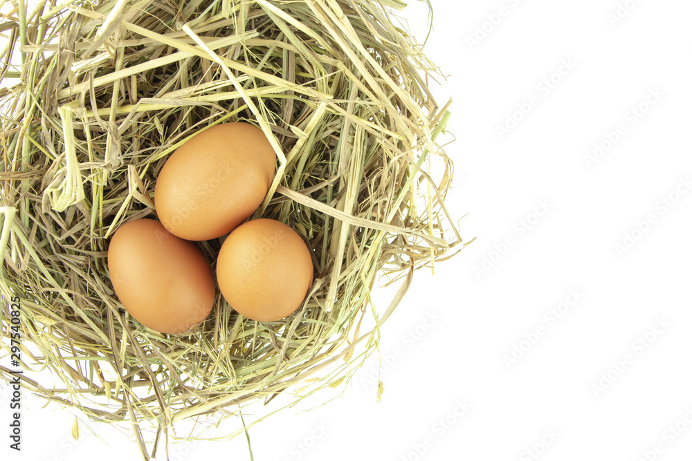 chicken eggs on straw isolated on white background. chicken eggs on straw isolated on white background.