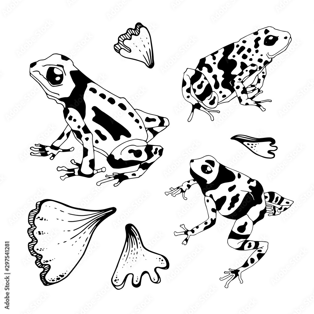 Hand draw frog isolated, frog Vector illustration, Set of frog outline