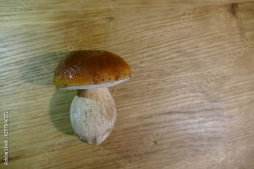 fresh mushrooms - cep or boletus but also penny bun or porcini