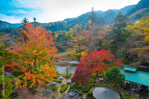 Autumn season in Japan