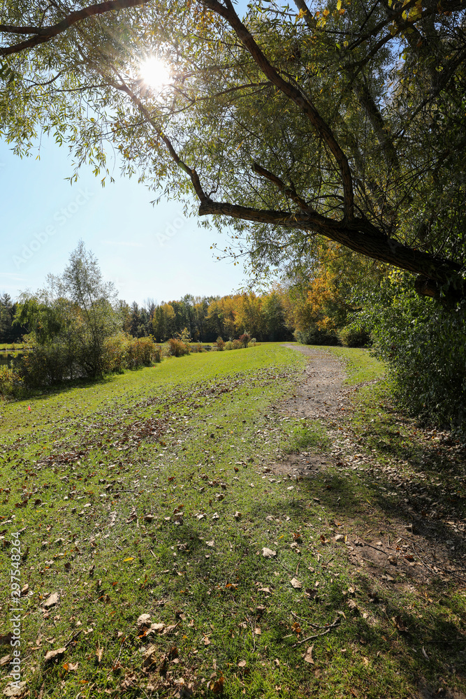 Autumn colors along the hiking trail. Afternoon sun shining through the trees Autumn colors along the hiking trail. Afternoon sun shining through the trees
