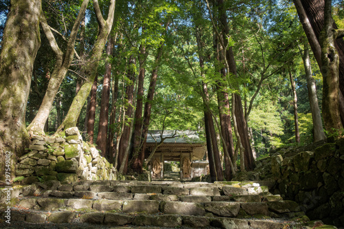 滋賀県、湖東三山の百済寺の仁王門と石階段の参道の風景 © 眞