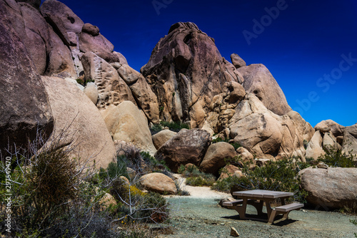 Joshua Tree