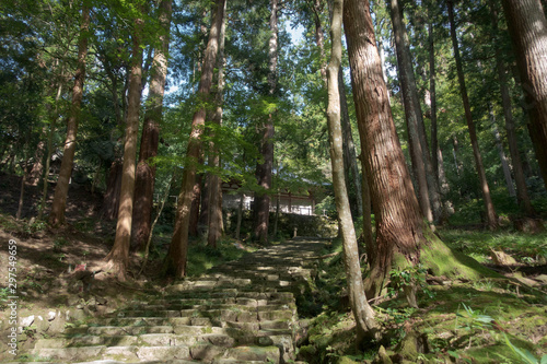 滋賀県、湖東三山の百済寺参道から見える本堂と美しい緑