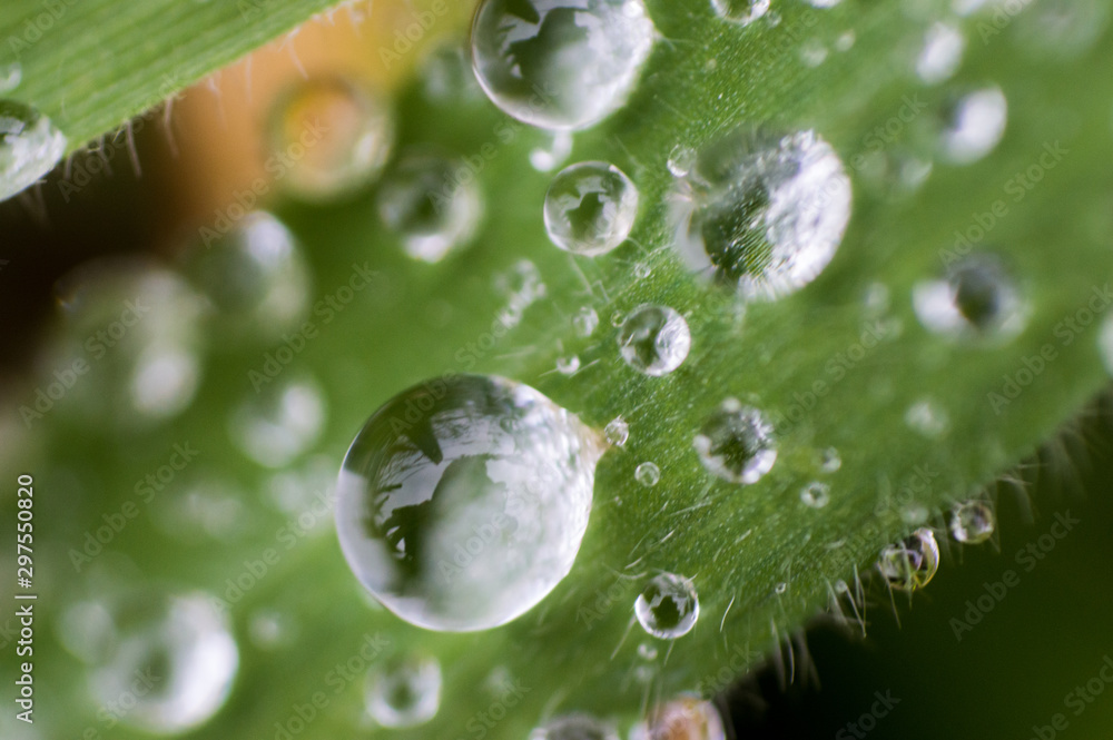 water drops macro water drops macro