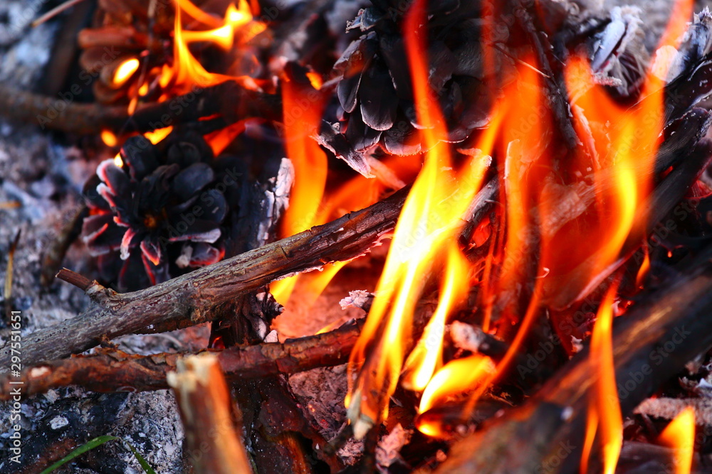 Open fire with coals and pine cone Open fire with coals and pine cone