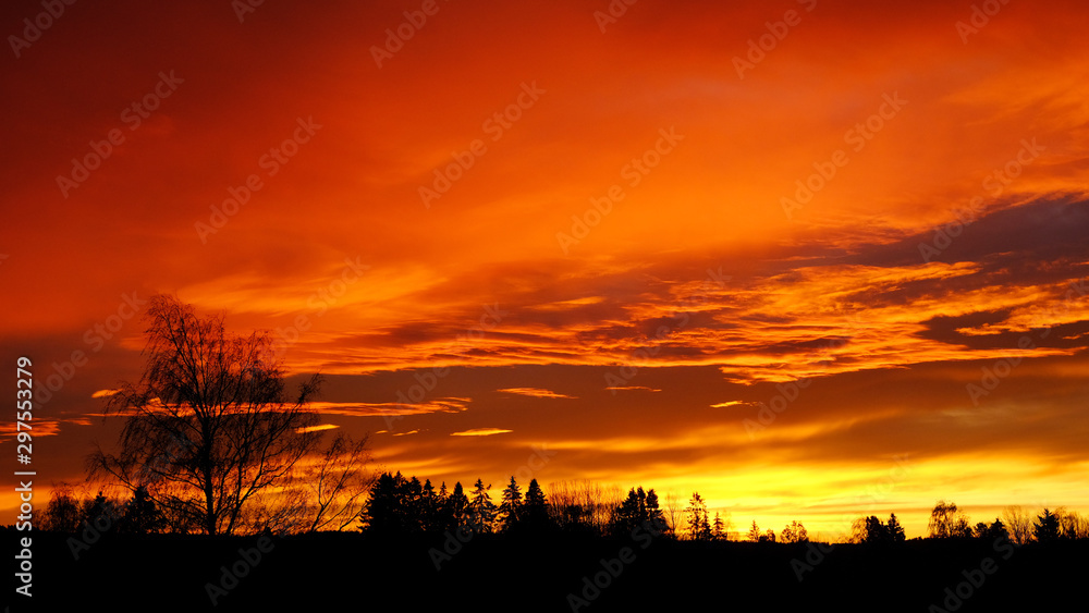 Trees and clouds at sunrise, Drobak, Norway Trees and clouds at sunrise, Drobak, Norway