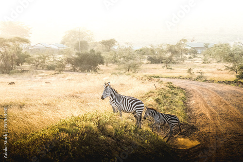 African safaris and Landscapes