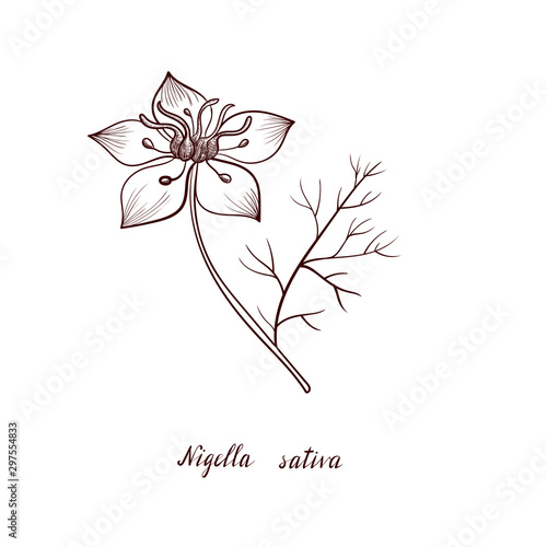 vector drawing black seed flower photo