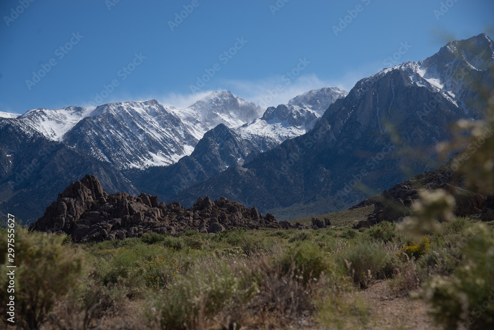 Fototapeta premium Lone Pine White Mountains in the back