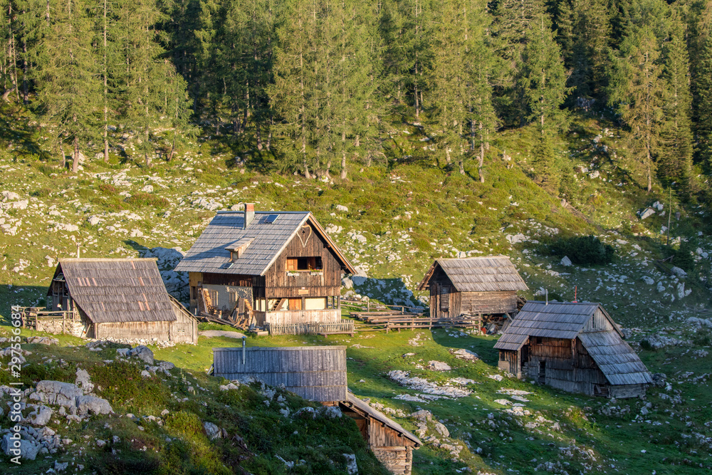 A few mountain huts in mountain pasture Dedno polje