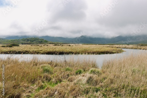 Wilson Promontory National Park  Victoria  Australia