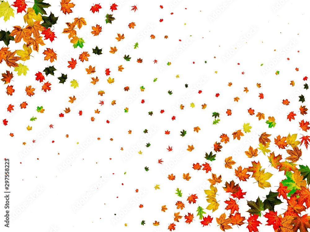 Autumn leaves background. October falling pattern isolated on white. Thanksgiving concept