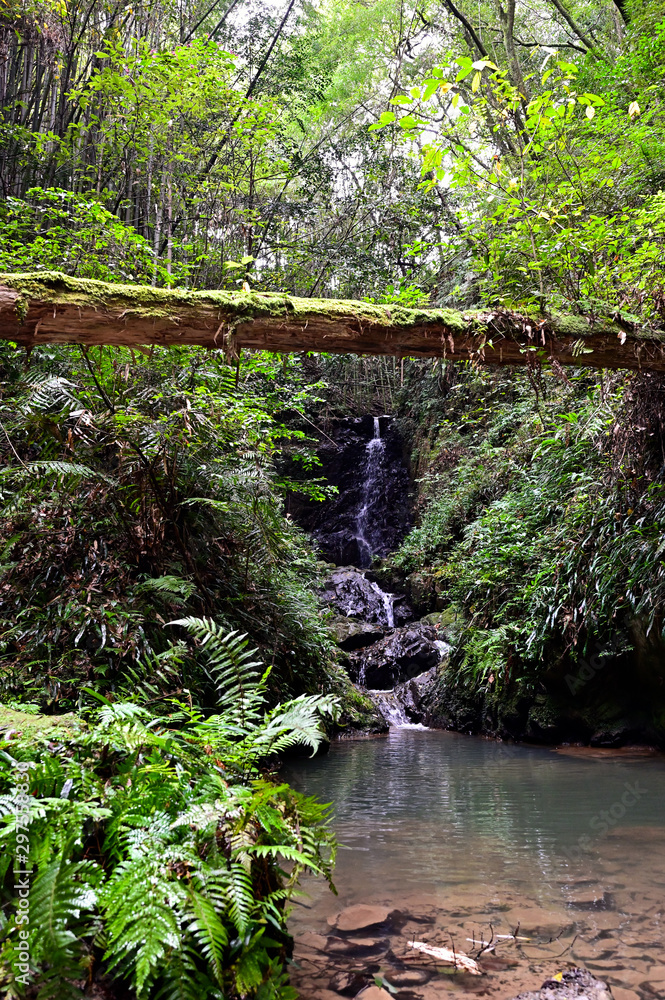 Obraz premium 伊尾木洞