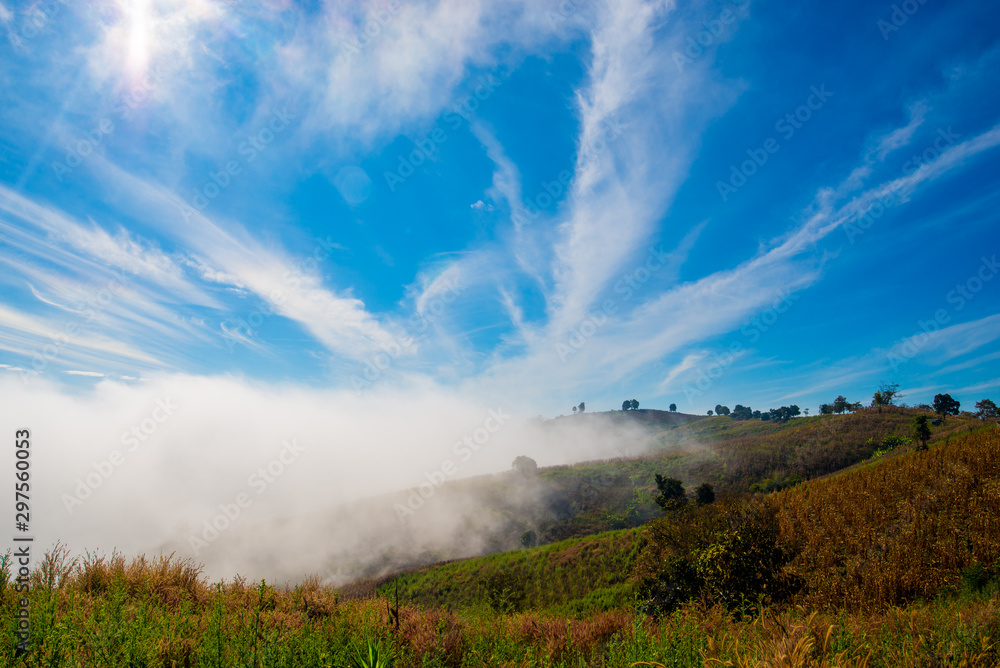 Beautiful with sky and sea mist in Doi inthanon national park, Thailand