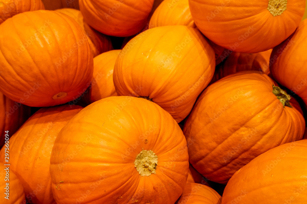 Pile of pumpkins on display at the market. Traditional Haloween decorative pumpkin ready for carving. Pile of pumpkins on display at the market. Traditional Haloween decorative pumpkin ready for carving.