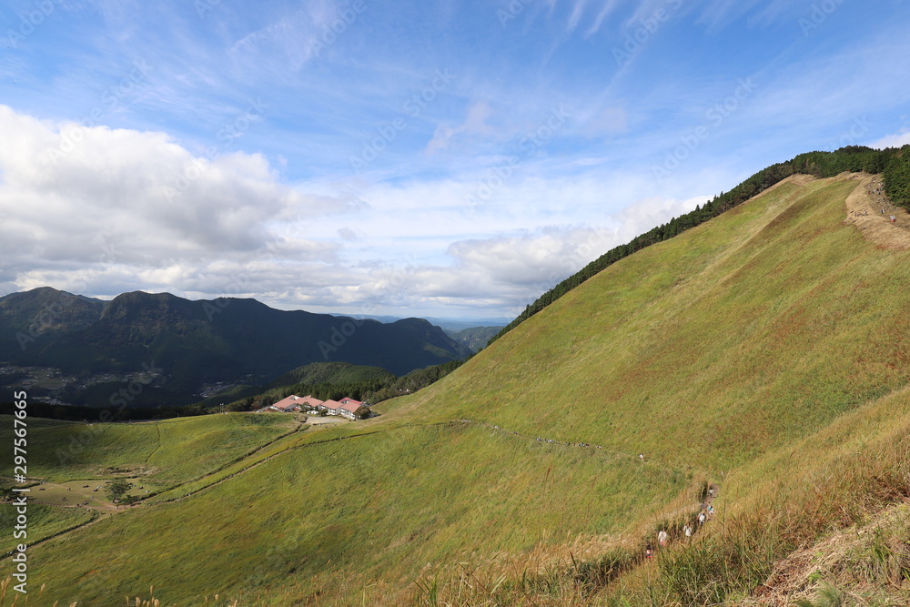 Fototapeta premium 曽爾高原のすすき