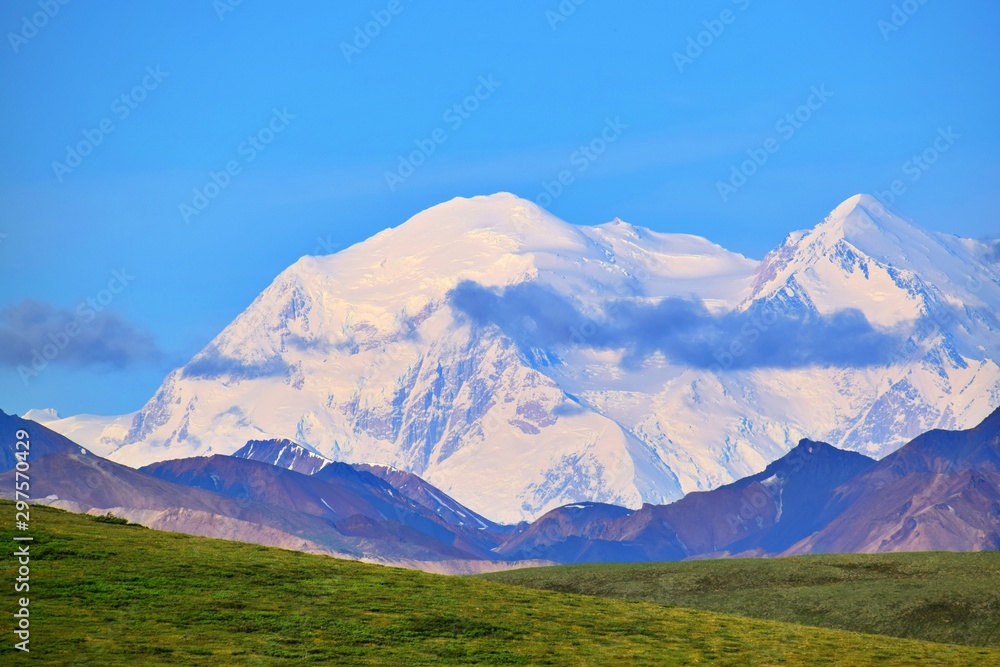 Fototapeta premium Denali Mountain Peak