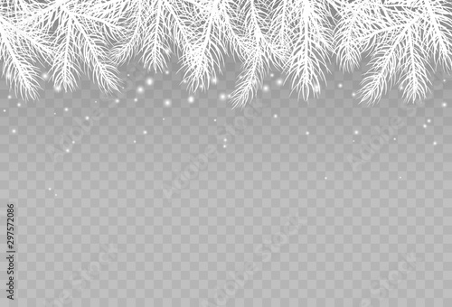 Border with fir branches and snow isolated on transparent background. Pine, xmas evergreen plants banner. Vector snowy Christmas tree decoration element.
