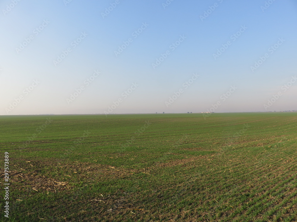 Arable fertile flat land Vojvodina Serbia Landscape in autumn Arable fertile flat land Vojvodina Serbia Landscape in autumn