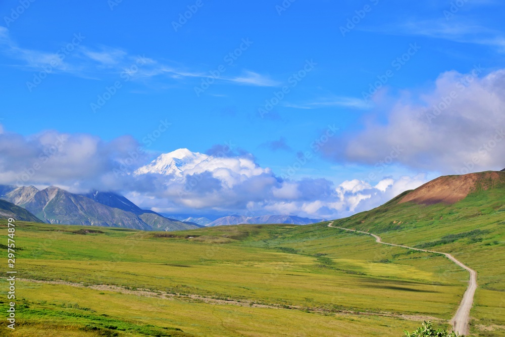 Road to Denali Mountain - Alaska 