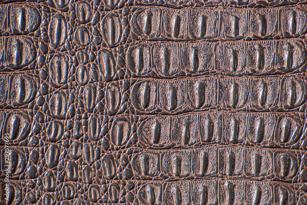 A Crocodile Texture Leather, Dark Background