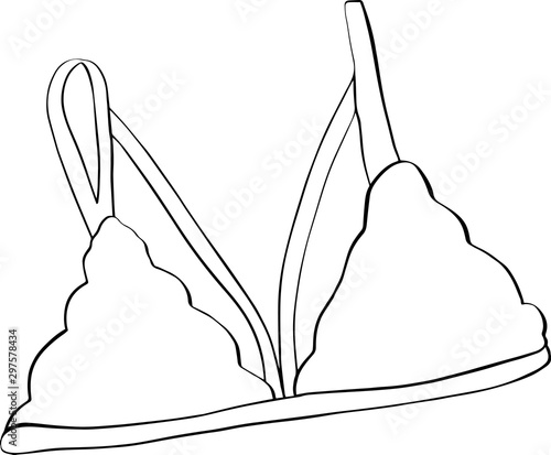 vector illustration of a female lace bra, vector