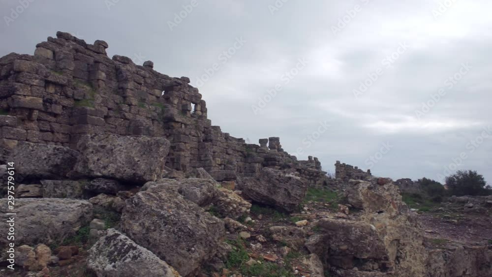 dogs rest on grass wind shakes large trees by greek ruins dogs rest on grass wind shakes large trees by greek ruins