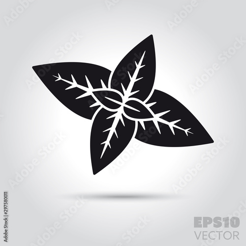 Peppermint leaves vector icon