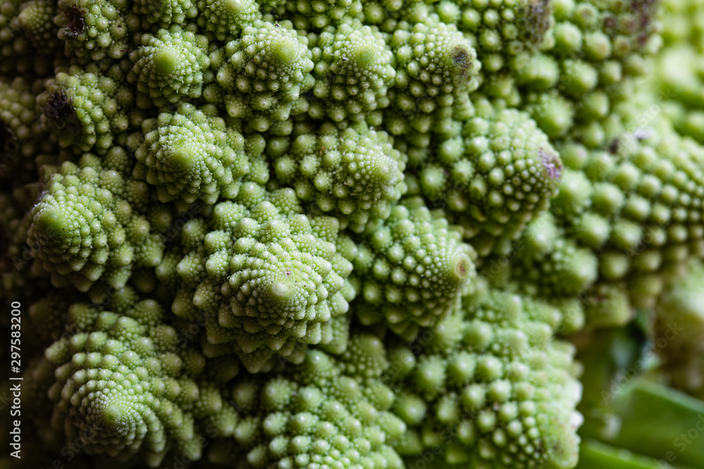 Closeup of Romanesco broccoli as textured patten Closeup of Romanesco broccoli as textured patten