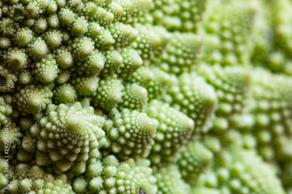 Closeup of Romanesco broccoli as textured patten Closeup of Romanesco broccoli as textured patten