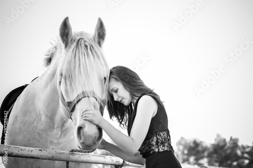 Concept of feminity. Young woman in a black dress with a horse. Beautiful girl with black horse