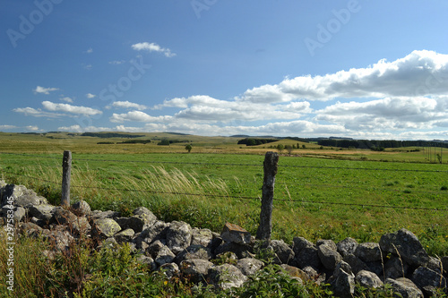 Buron et paysage du plateau de l'Aubrac dans l'Aveyron, Massif Central, France photo