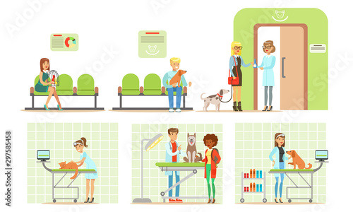Trip to the vet cartoon vector illustration
