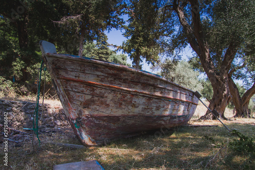 An old boat under the trees